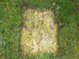 image number Barnes Peter 093